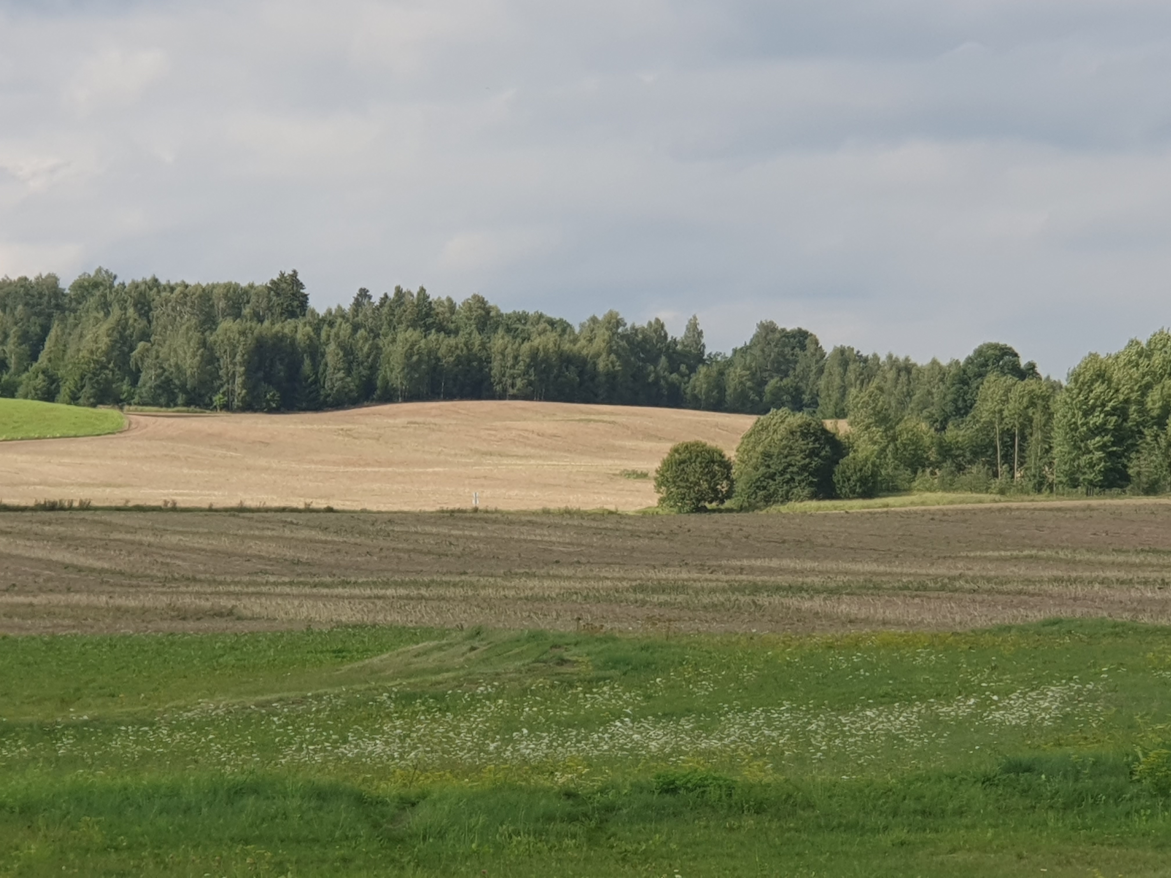 Lauku skats ar pļavu priek&scaron;plānā, uzartu lauku vidusplānā un krūmi, koku zonu fonā