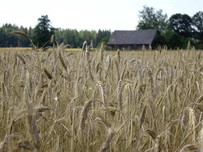 European Commission approves Strategic Plan for the Common Agricultural Policy of Latvia 2023-2027