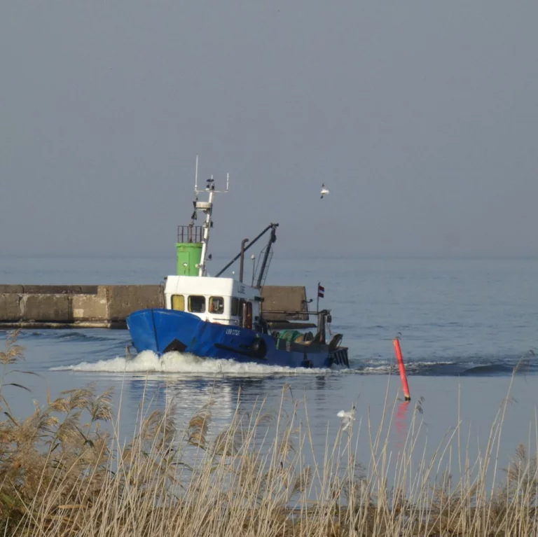 New modalities for granting national and EU support to projects for rural and fisheries development
