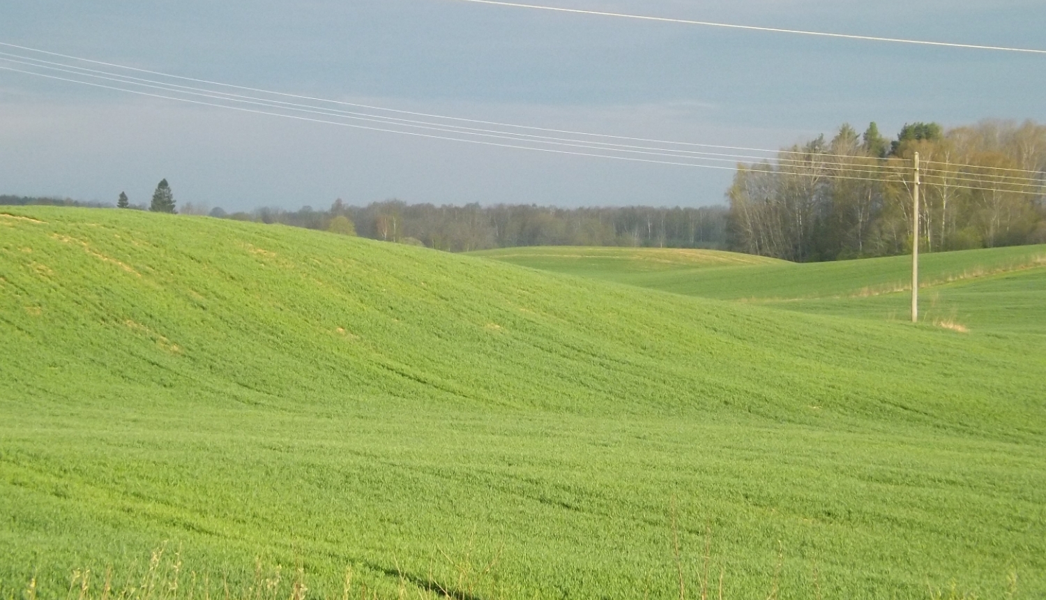 Atvieglinātas prasības ekoshēmas atbalstam par slāpekļa un amonjaka emisiju un piesārņojumu mazino&scaron;u lauksaimniecības praksi
