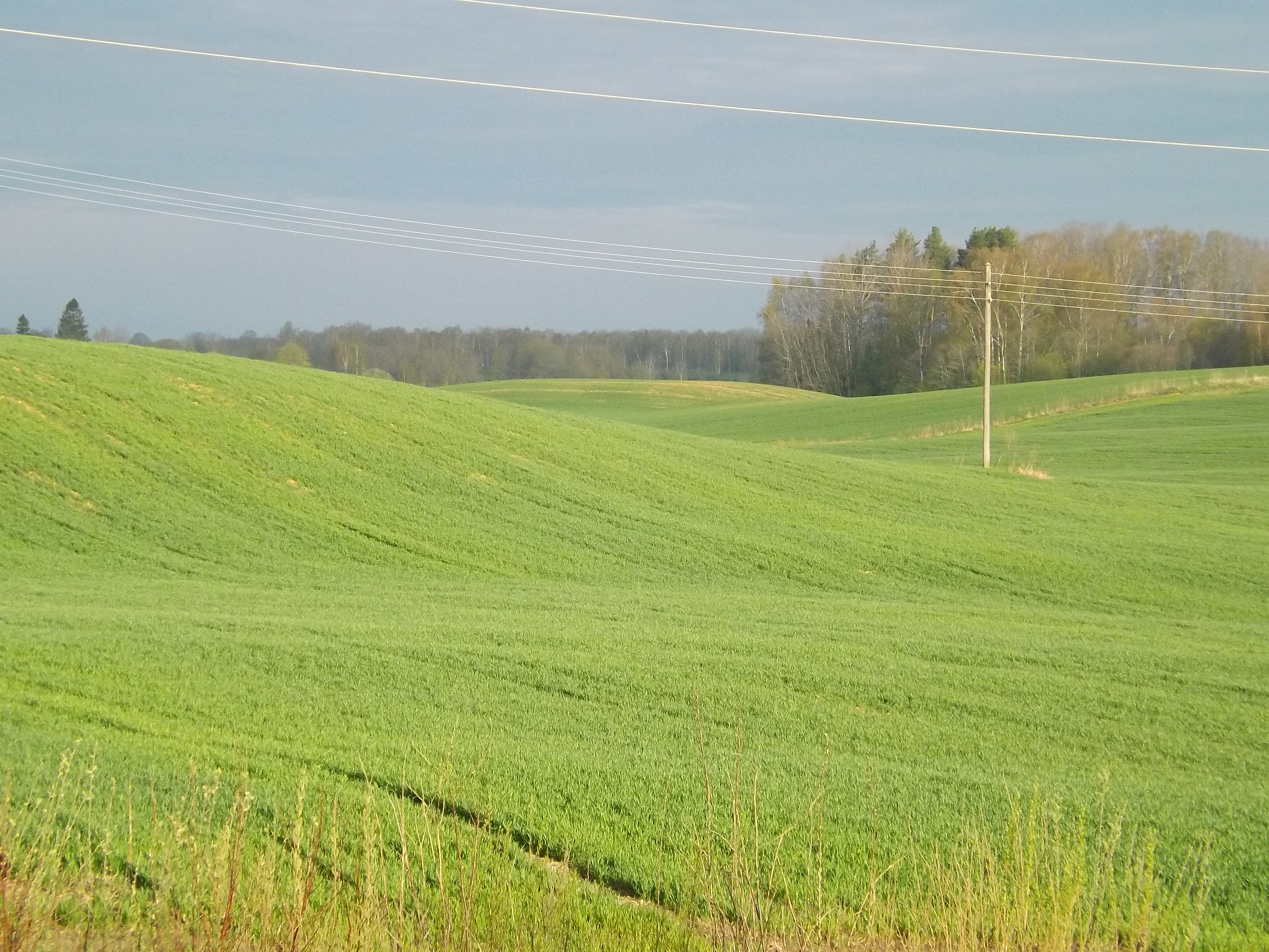 Lauku vēstures datus agrovides pasākumos varēs uzturēt dažādos formātos