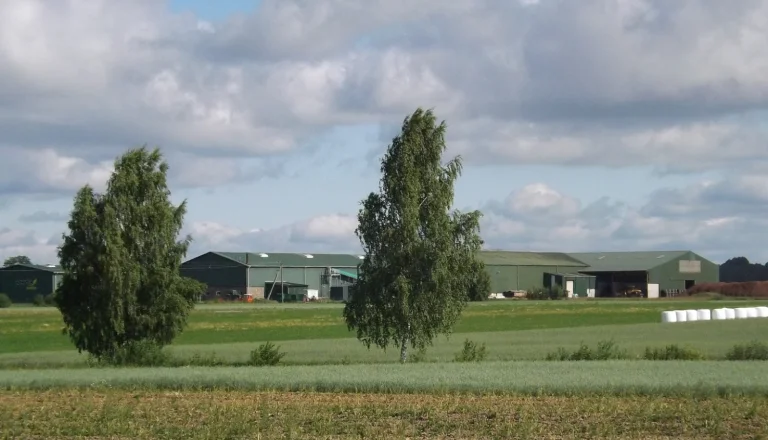 Farmers to have easier access to support for renewable energy projects