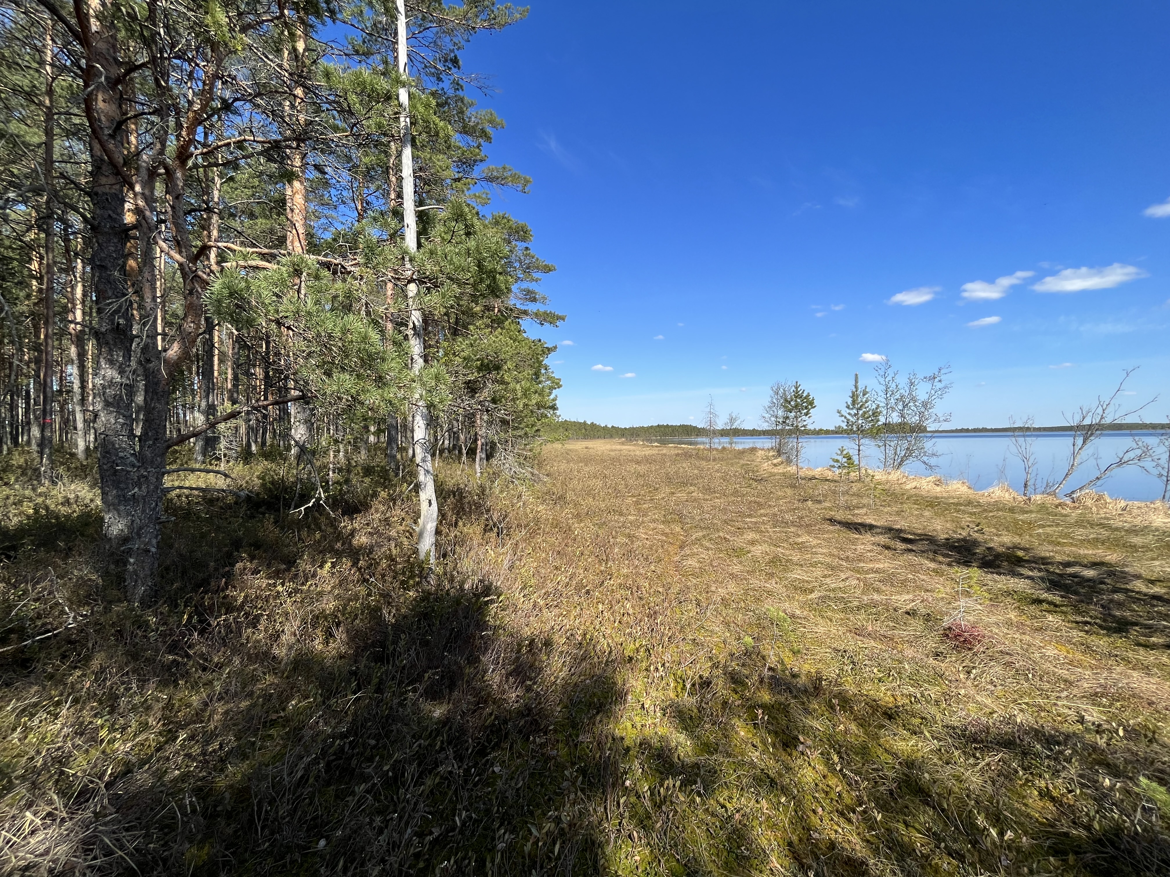Ar ES fondu atbalstu turpina stiprināt Latvijas ārējo robežu