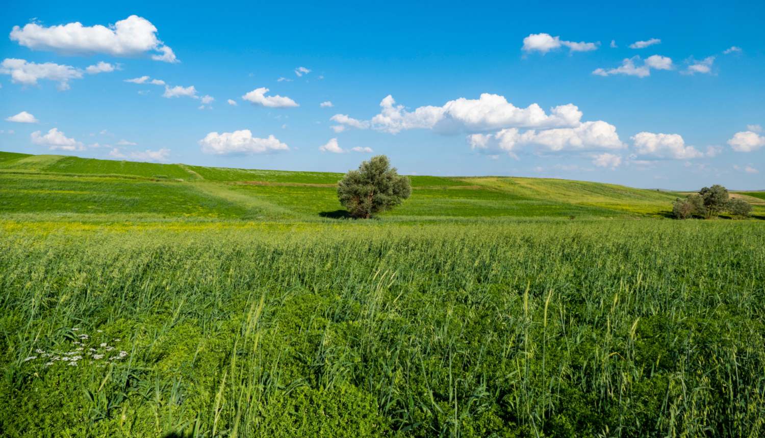 Klimatneitrālas ekonomikas veicinā&scaron;anai reģionu iedzīvotāju kvalifikācijas un prasmju pilnveidē ieguldīs 19,9 miljonus eiro