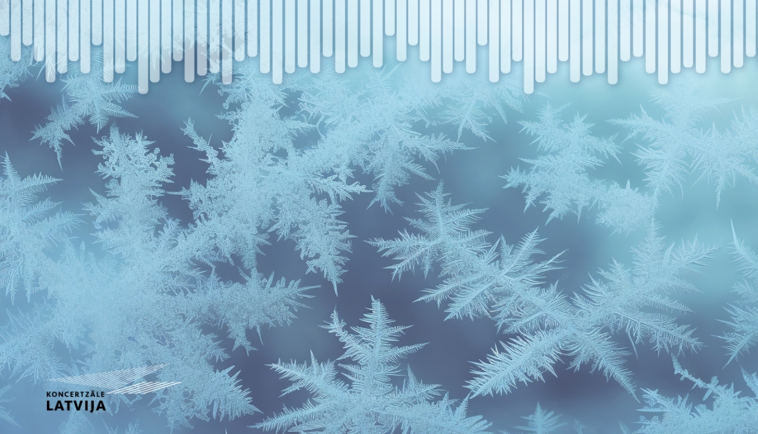 Winter visualisation for Concert Hall Latvija, close up of snowflakes