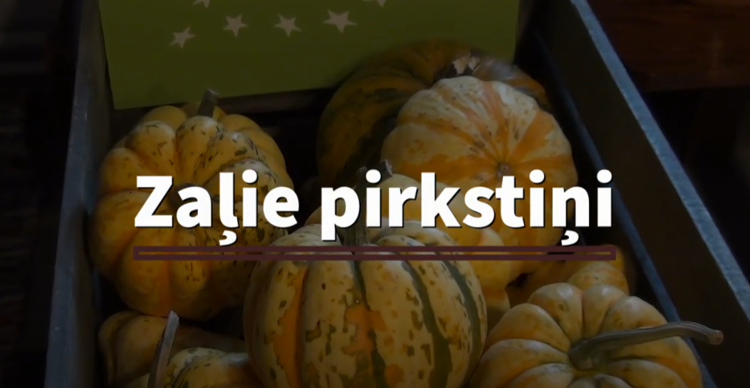 ZS "Stūrī&scaron;i"