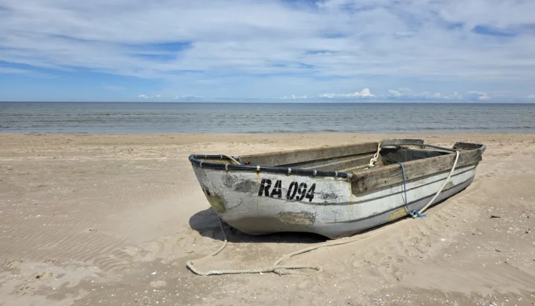 Coastal fishers to receive 100% support for investments and advance payments for project implementation