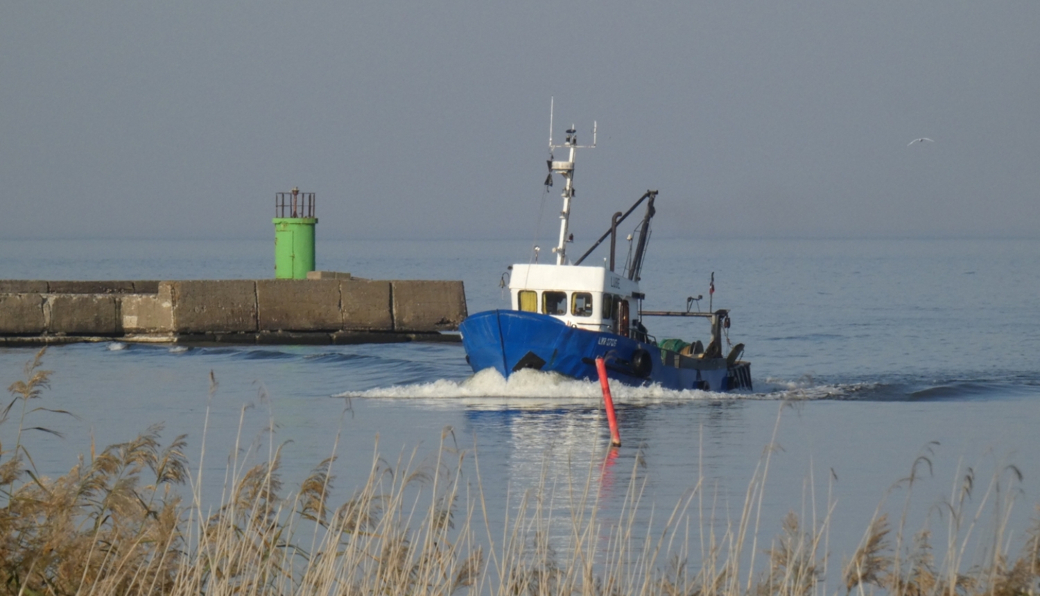 Piekrastes zvejnieki saņems lielākas kompensācijas par roņu postījumiem lomiem un zvejas rīkiem 2023. gadā