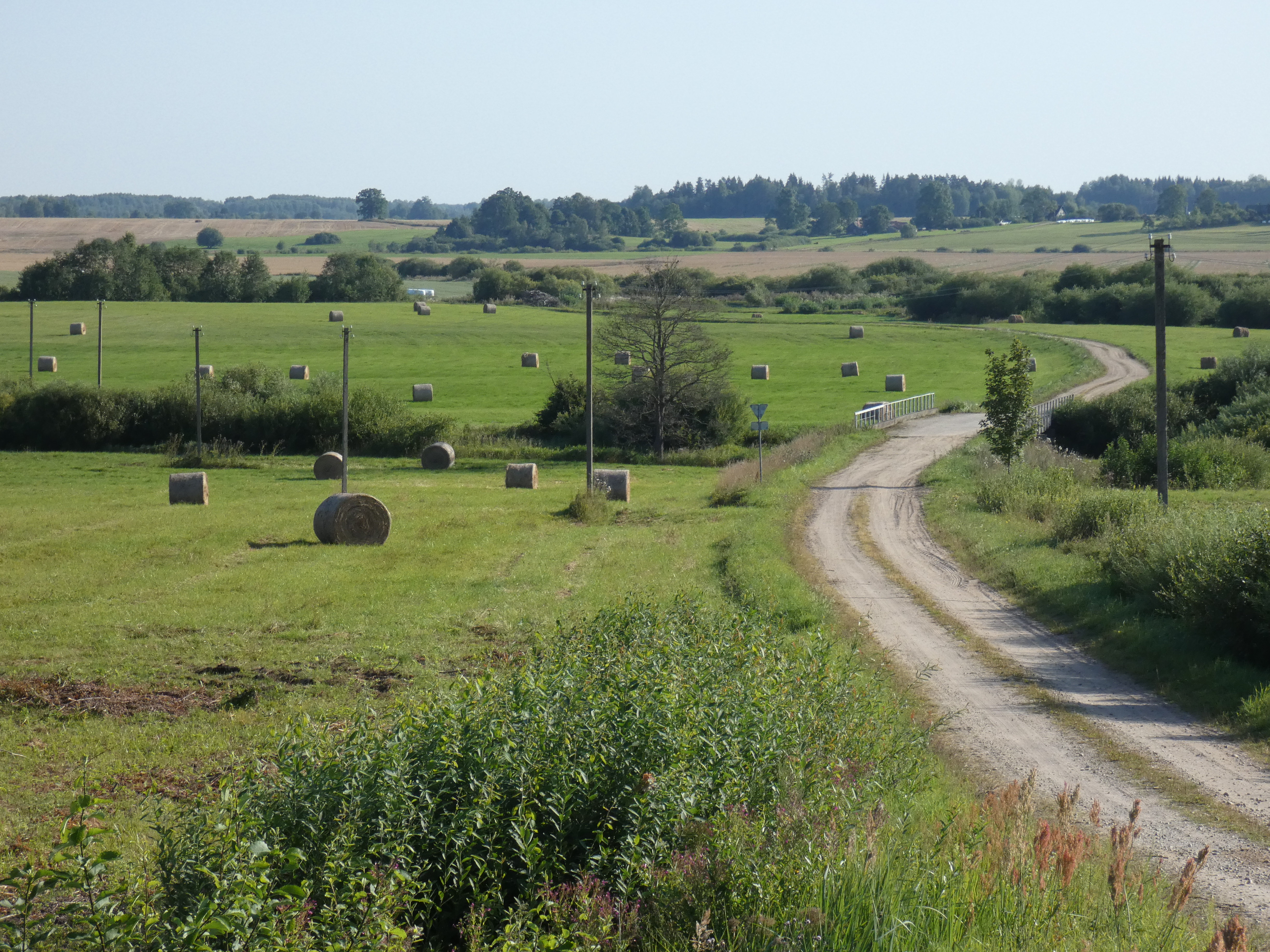 Changes will simplify access to LEADER support and foster rural development