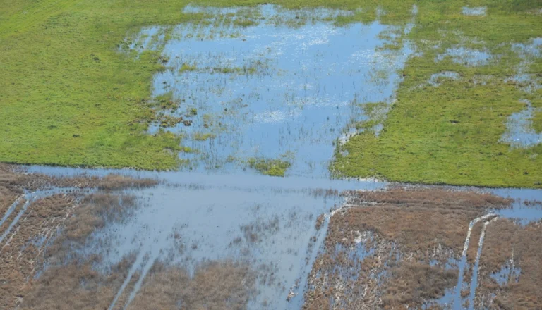 Ministry of Agriculture urges farmers to report areas affected by prolonged rainfall &ndash; support eligibility will also be retained in cases of storm and flooding damage