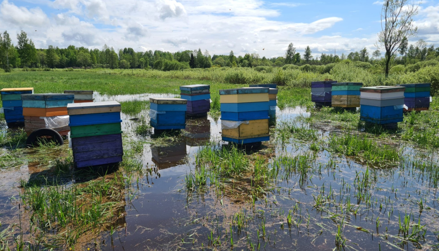 Minister of Agriculture Armands Krauze orders immediate assessment of damage caused to farmers by the rainfall in late May and spring frosts