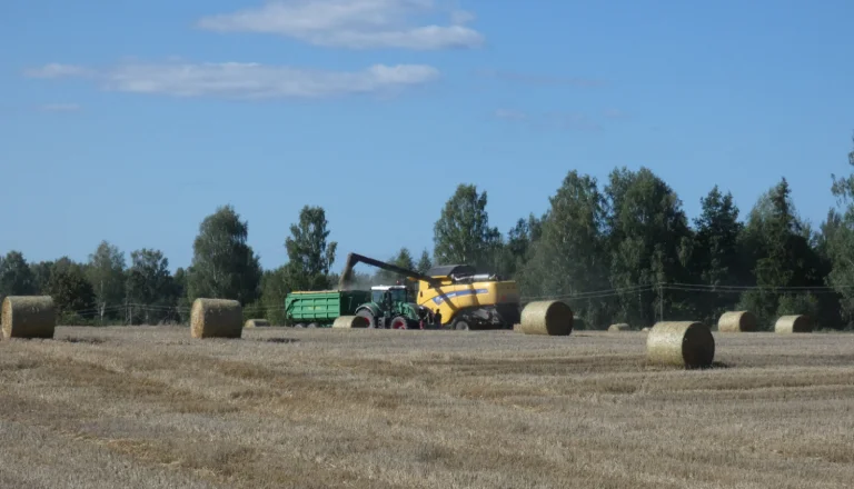 Direct payment funding for farmers to increase by EUR 35 million in 2027