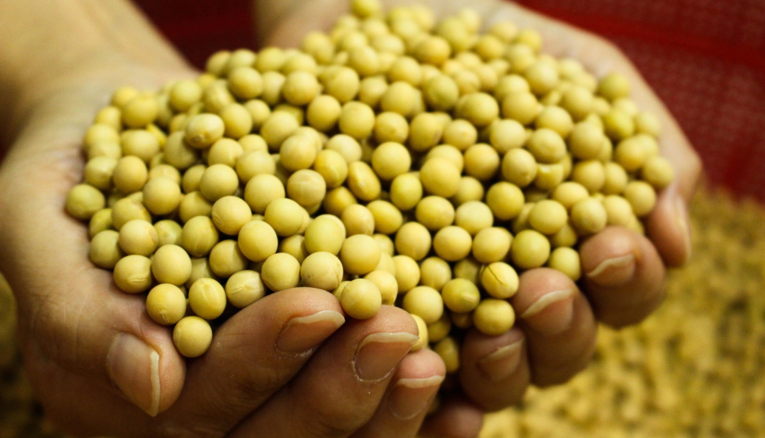 EU Agriculture ministers to discuss the situation in the food and agricultural product market