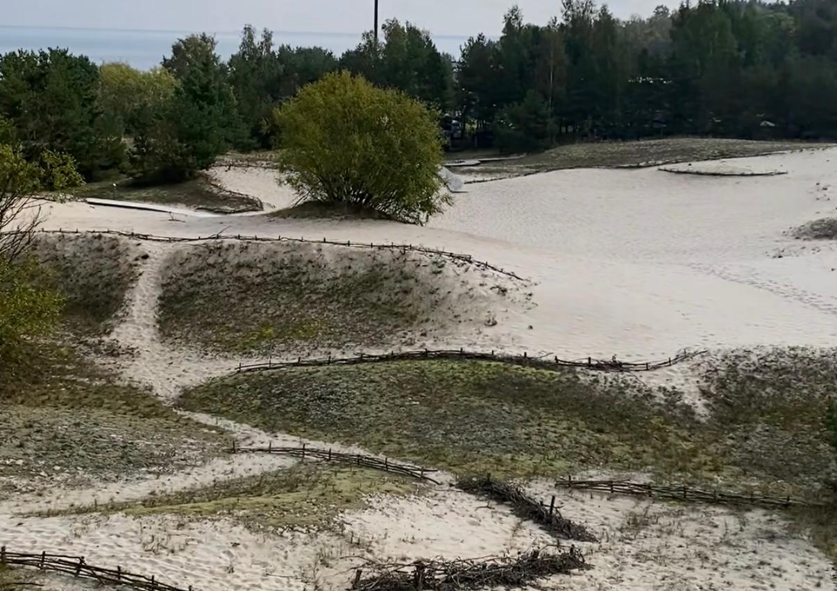 Plieņciema kāpa