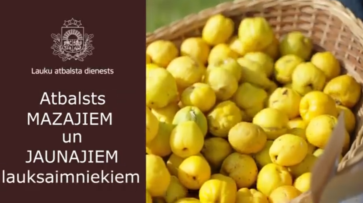 Support for small and new farmers