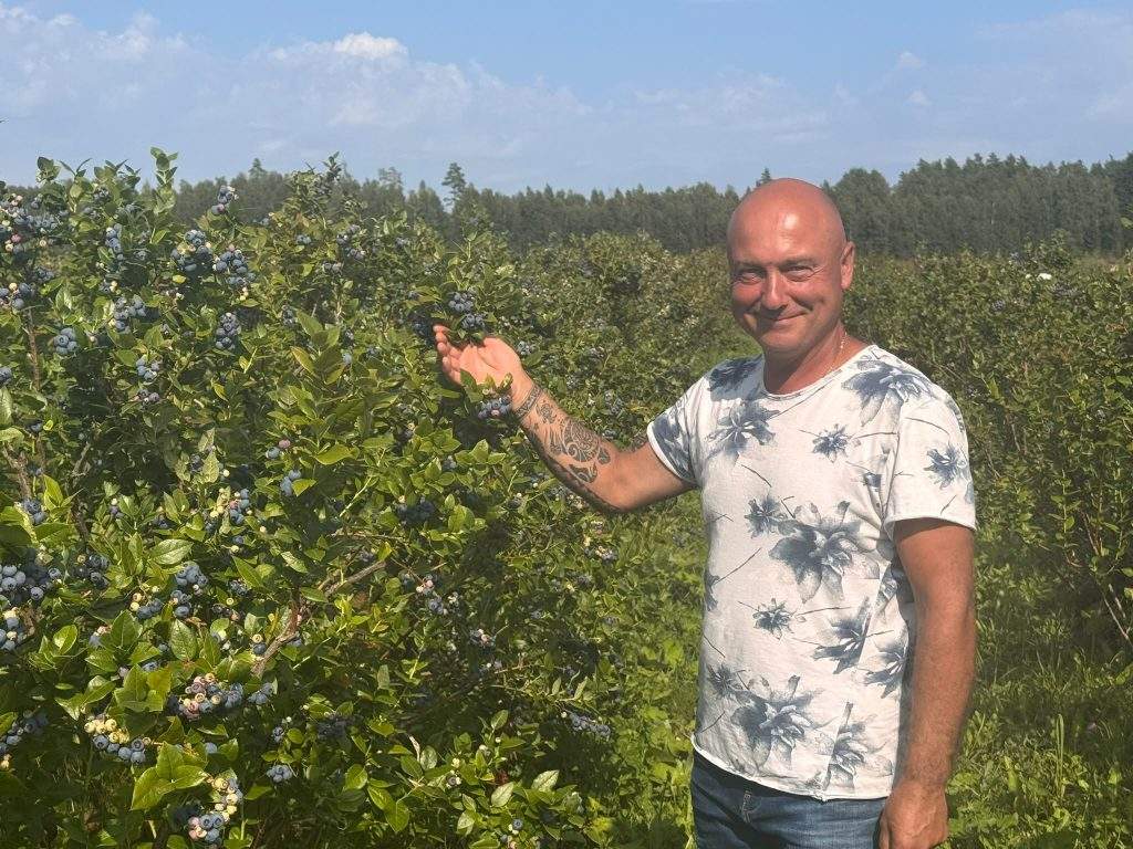 Ciemos pie bioloģisko melleņu audzētāja &ldquo;Dižoga&rdquo;: &ldquo;Var jau čīkstēt, bet tas nepalīdzēs&rdquo;