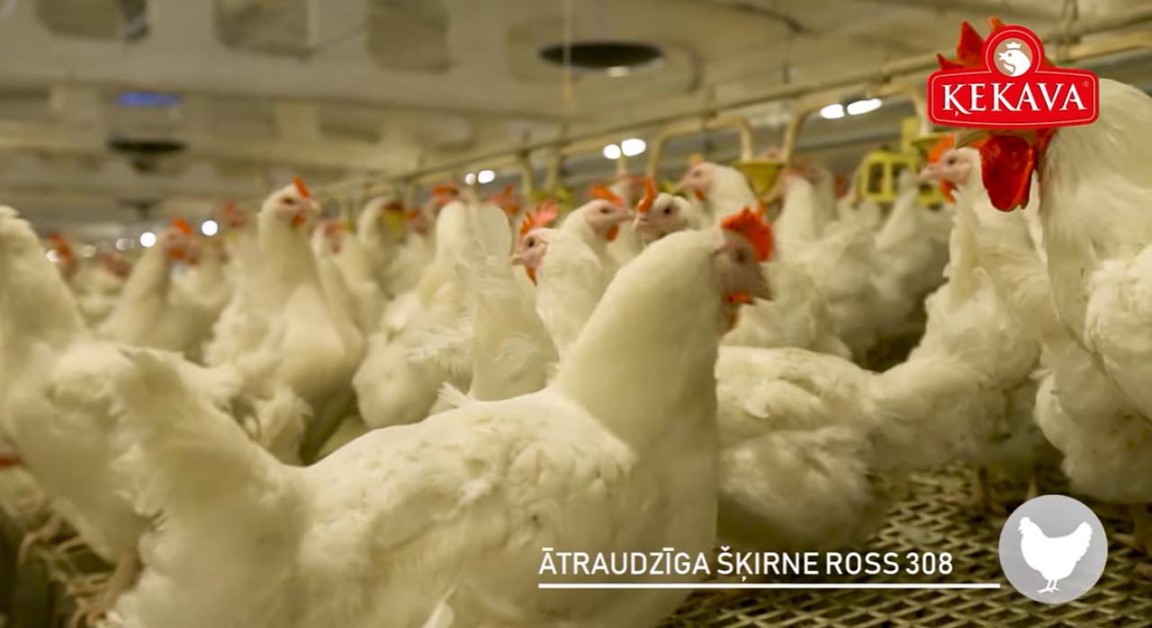 ES ieguldījums konkurētspējīgā lauksaimniecībā: AS “Ķekava Foods”