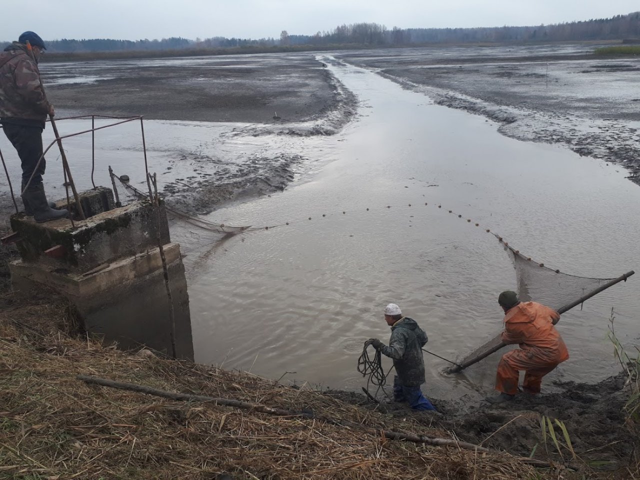 Akvakultūras dīķis