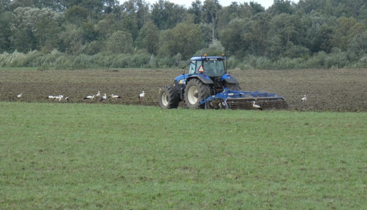 Apstiprināta Eiropas Lauksaimniecības garantiju fonda, Eiropas Lauksaimniecības fonda lauku attīstībai un Eiropas Savienības atbalsta lauksaimniecībai un lauku attīstībai 2023. – 2027. gadam administrēšanas kārtība
