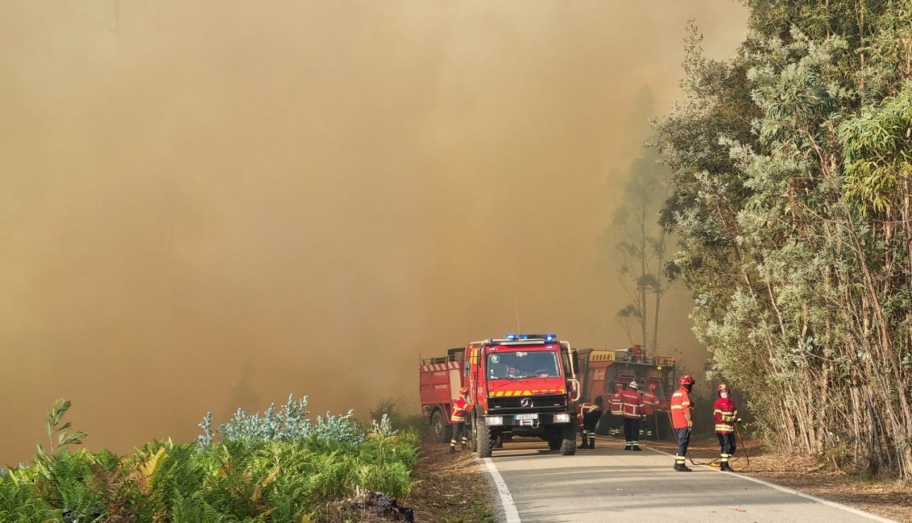 Solidarity in action! With EU financial support, Latvia sends firefighters-rescuers to assist Portugal
