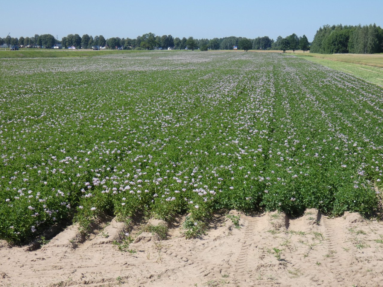 Lauksaimnieki arī šogad varēs saņemt bezprocentu īstermiņa aizdevumu
