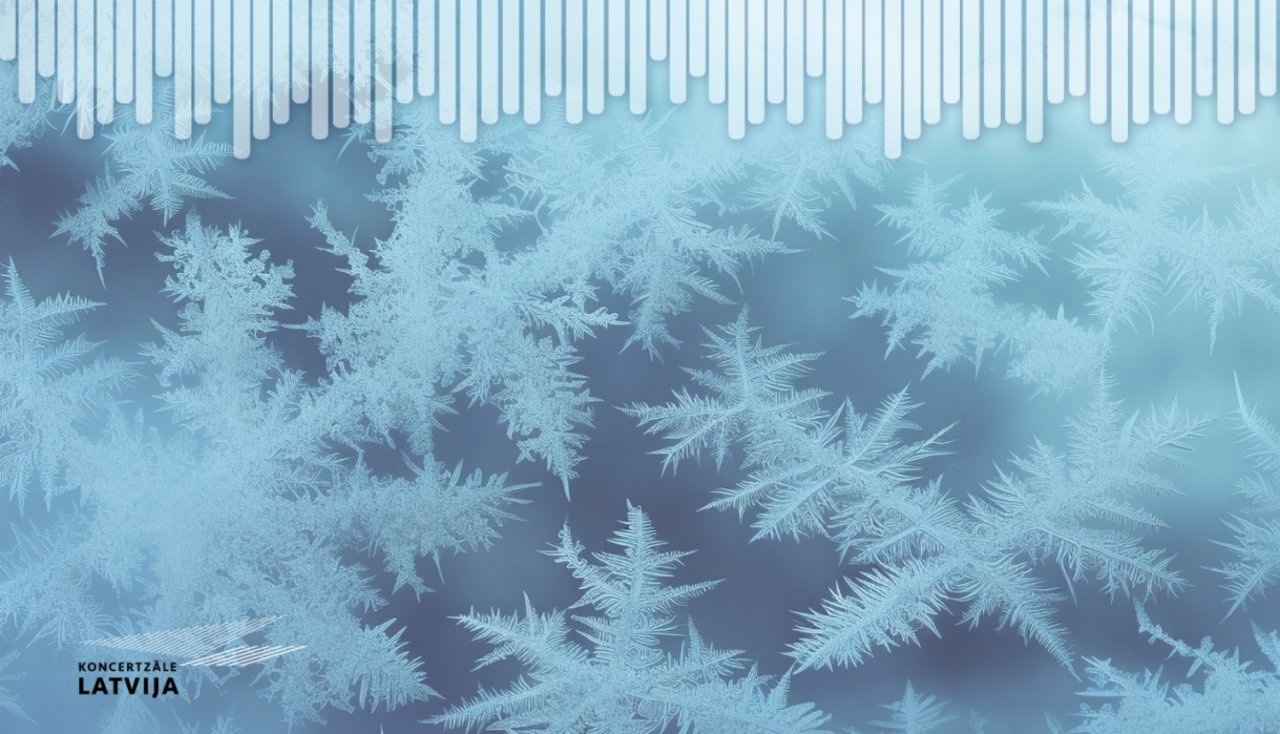 Winter visualisation for Concert Hall Latvija, close up of snowflakes