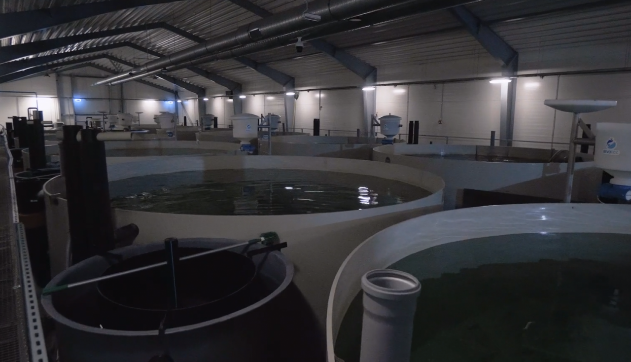 Var pieteikties investīcijām un inovāciju projektiem akvakultūrā