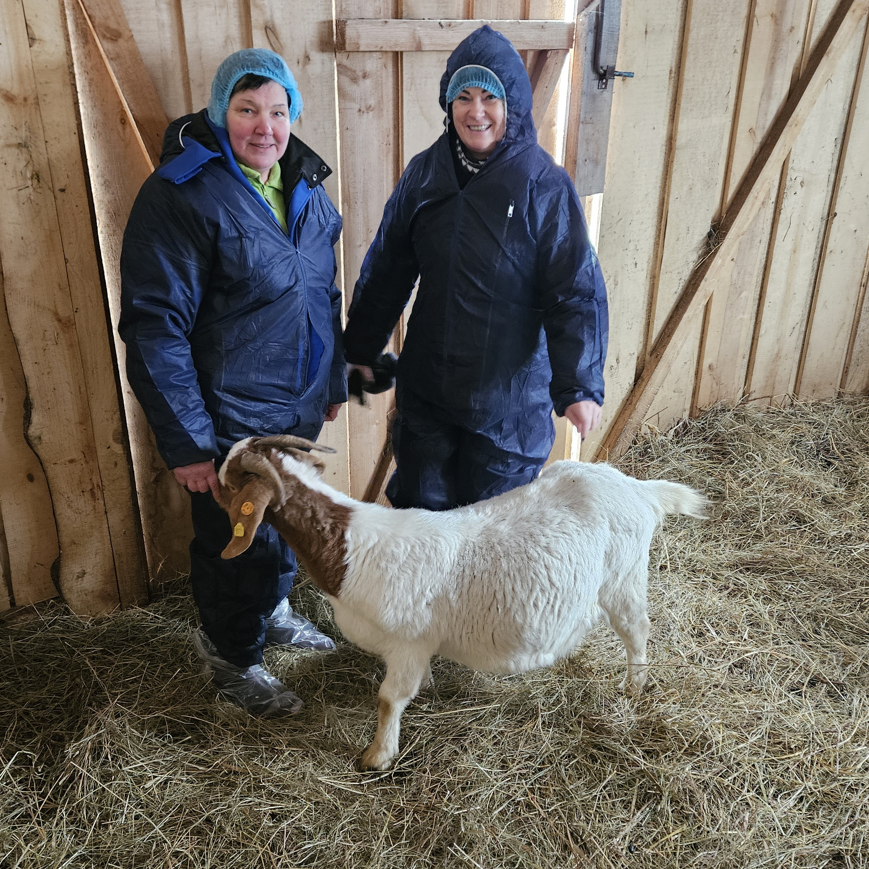 SIA Lubejas kazas ar īpašniekiem