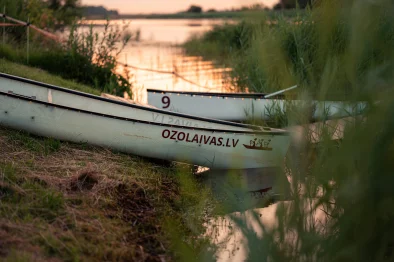 Ozolaivas krastā