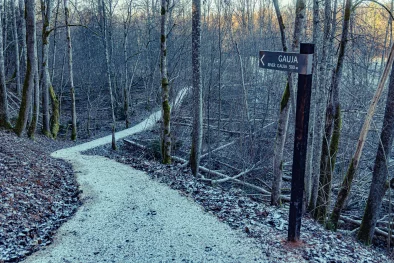 Dabas taka ar norādi uz Gauju