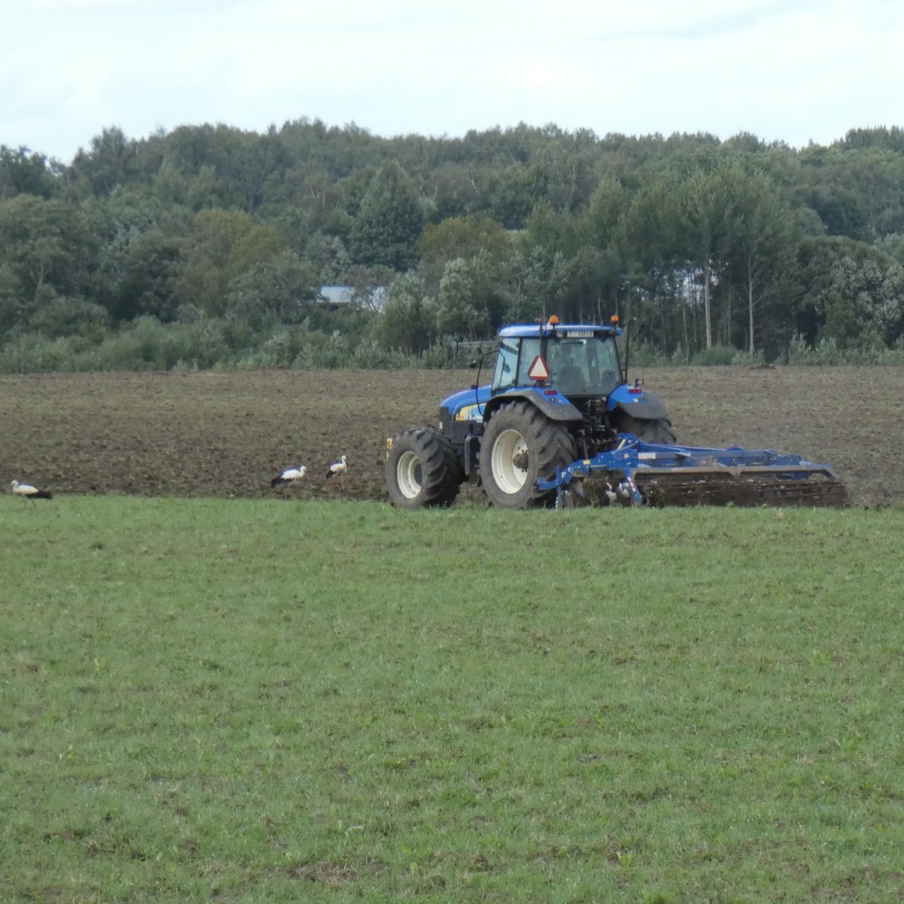 Vēl 20 miljoni eiro aizdevumu izsniegšanai mazajiem lauku uzņēmējiem