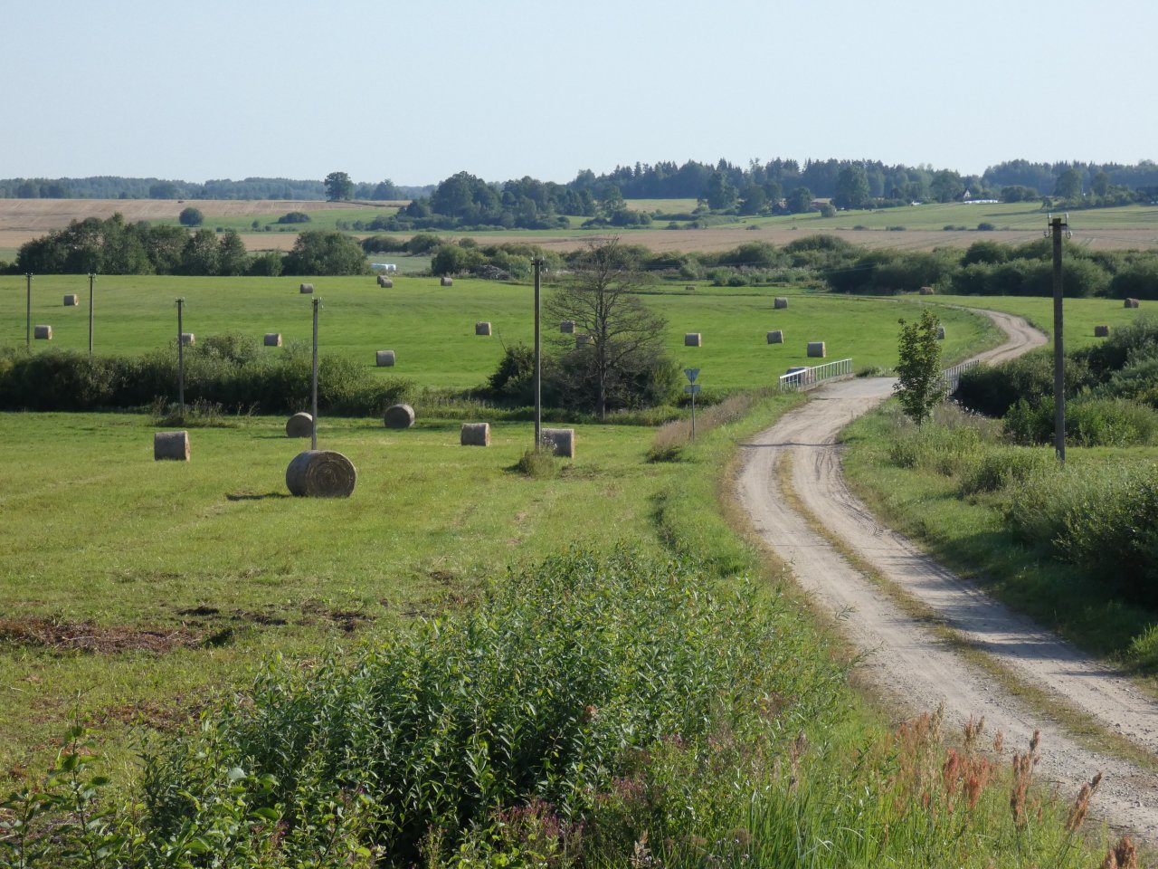 Changes will simplify access to LEADER support and foster rural development