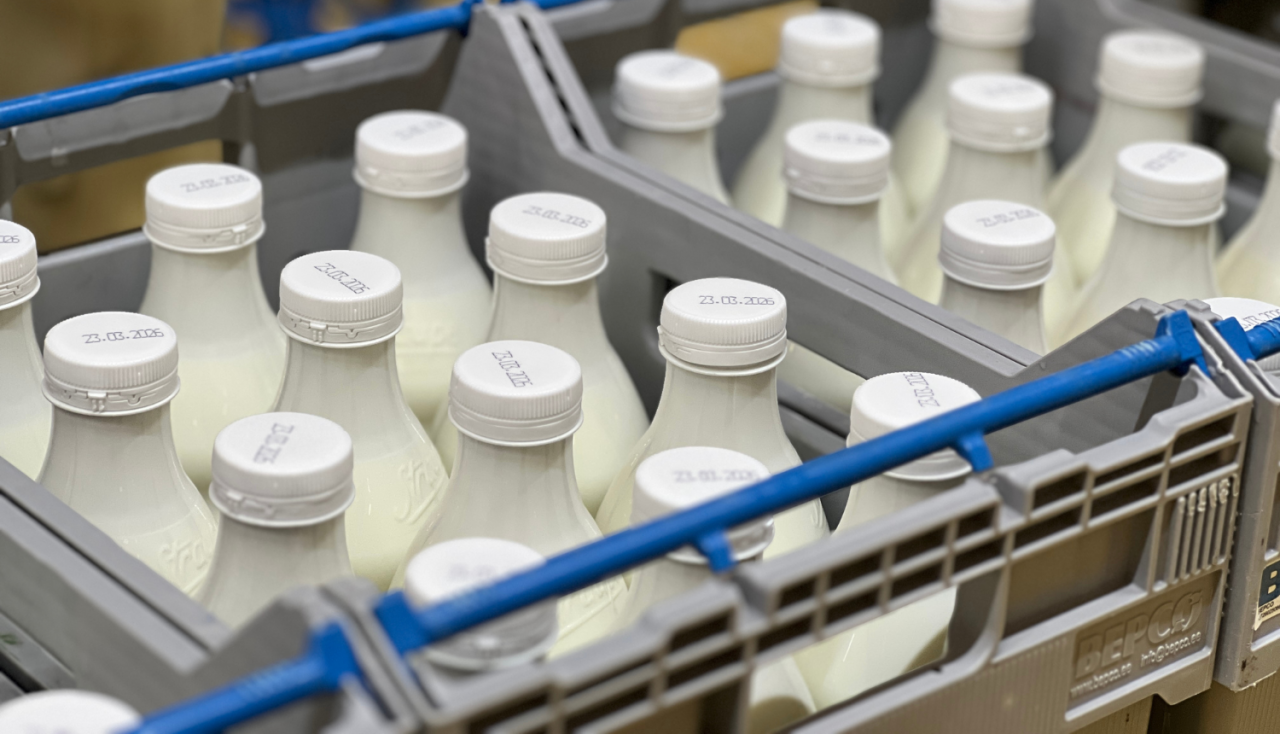 plastamasas kastē saliktas piena vai kefīra pudeles