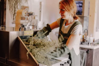 Tēju ražošanas process