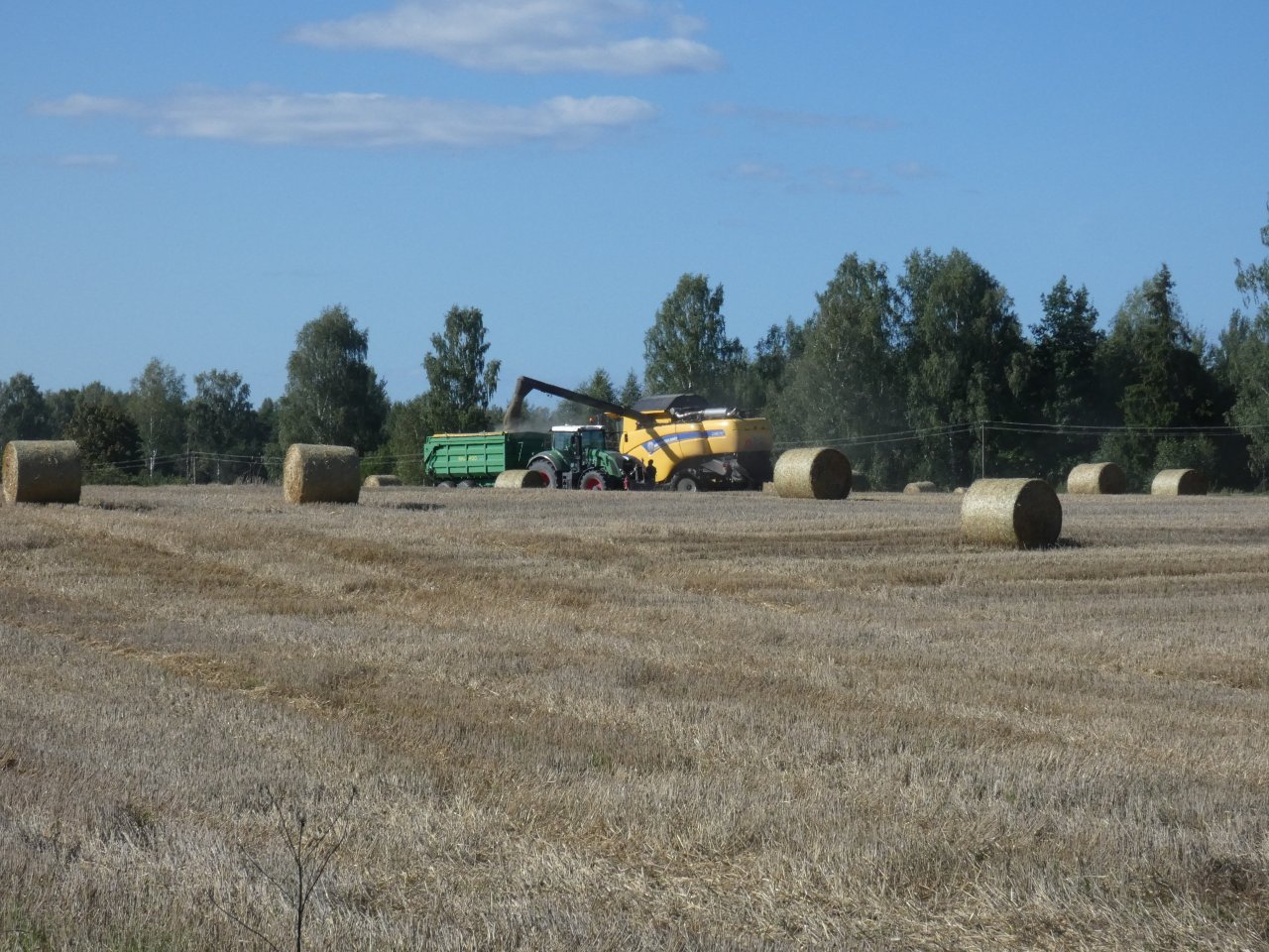 Food security for the population is directly dependent on EU support for farmers