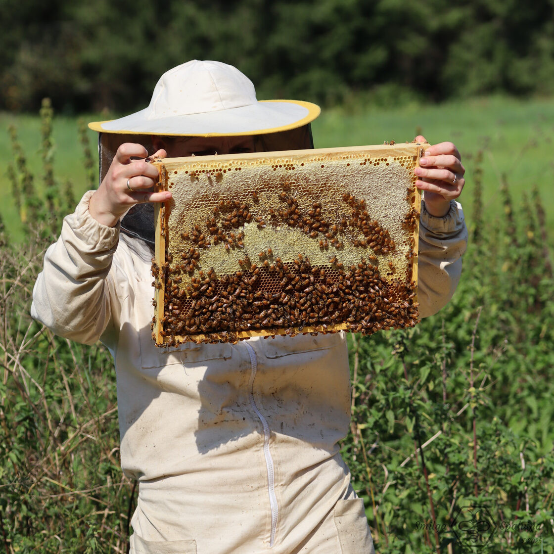 Dravinieks baltā apģērbā tur rokās medus kāri
