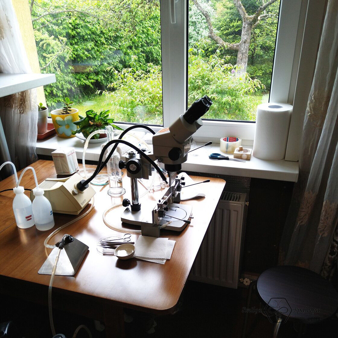 Labaratorijas skats ar mikroskopu uz galda, fonā logs uz dārzu vasarā