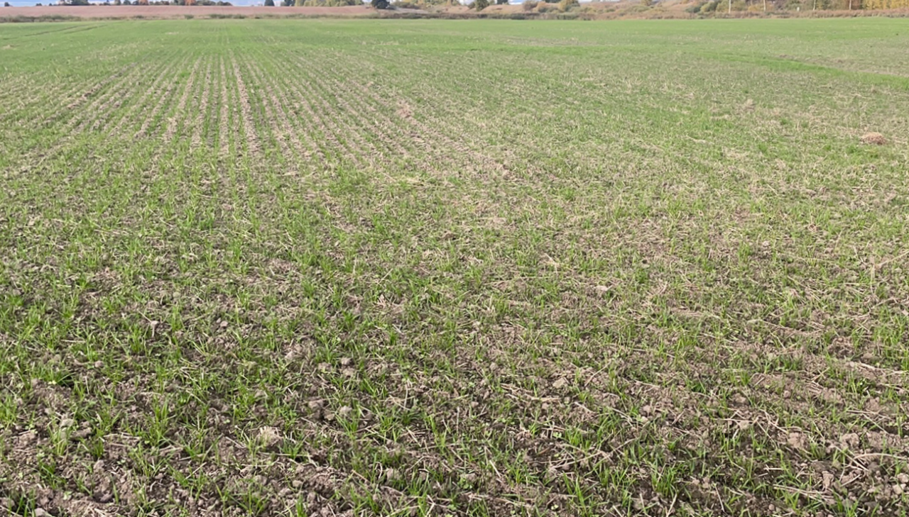 Ja lauksaimnieks pieteiksies 4.ekoshēmas atbalstam, jāgatavo fotoattēli