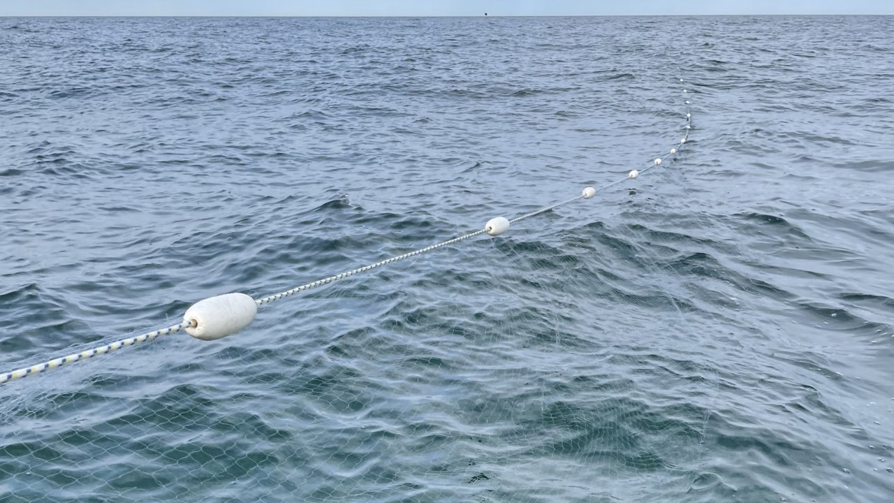 Jūras virsma ar tĪklu