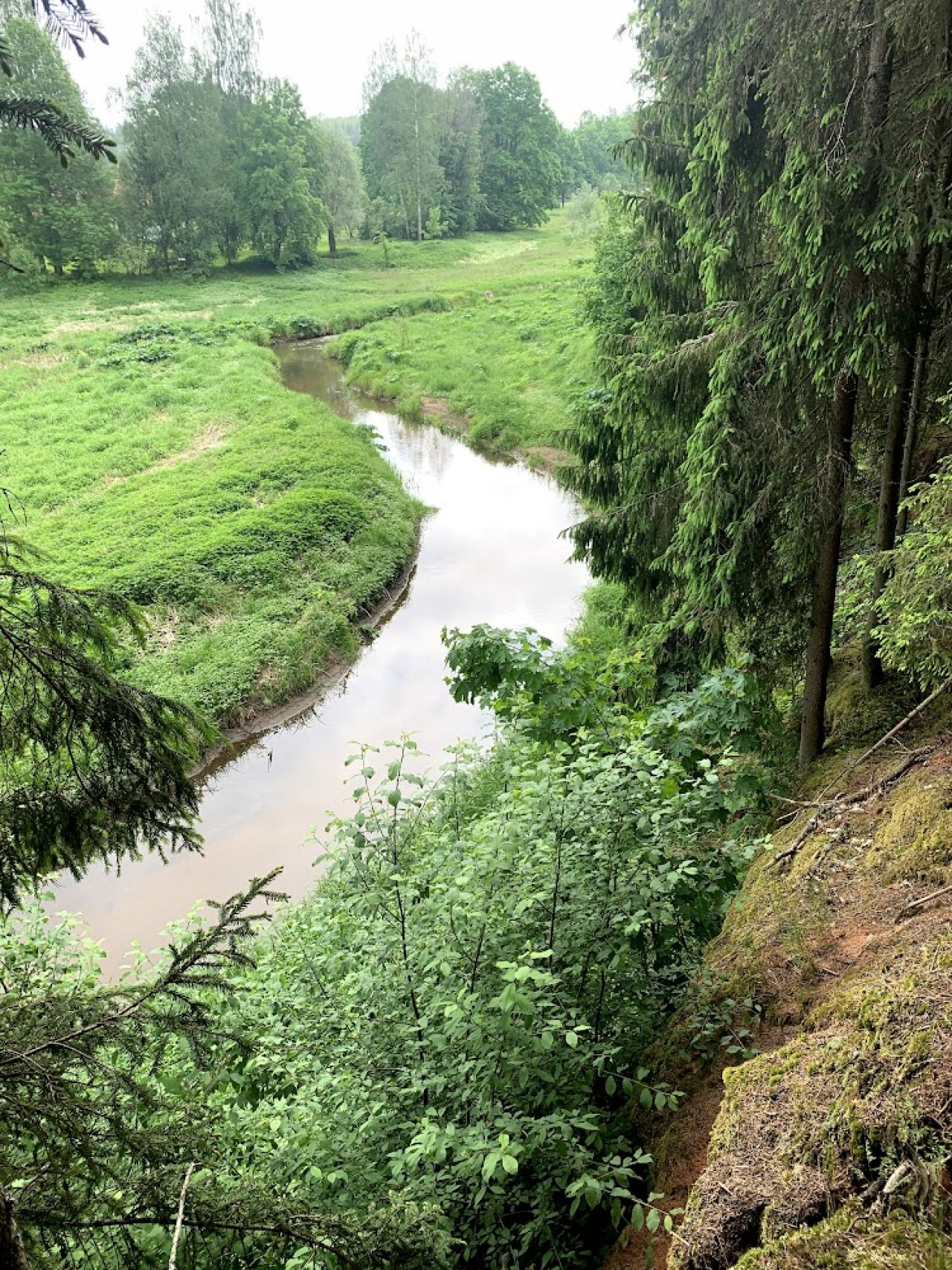 Atbalsts zivju dzīvotņu kvalitātes uzlabošanai