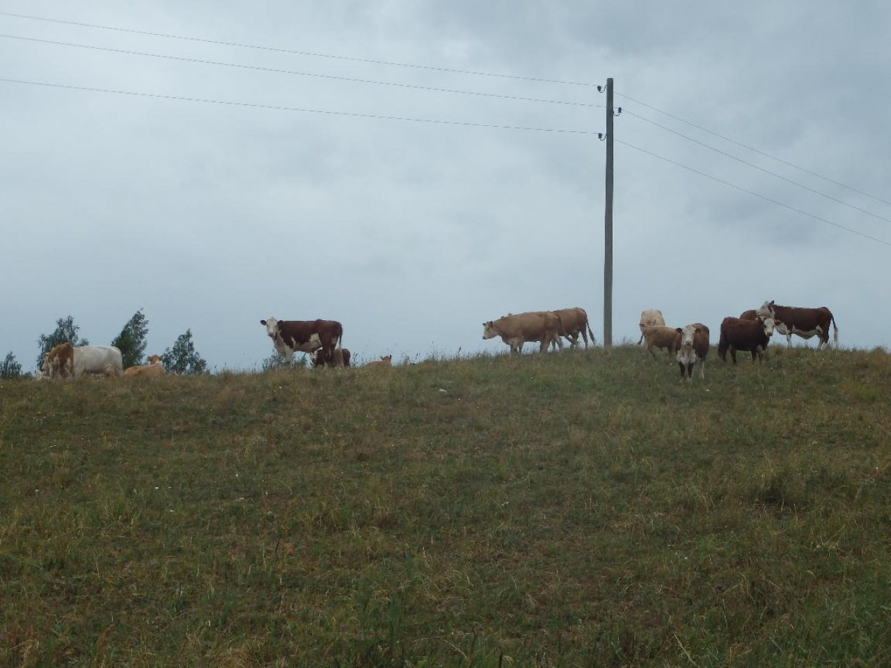 Organic farming shows that green thinking pays off